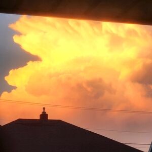 Meet your Posher, Skye